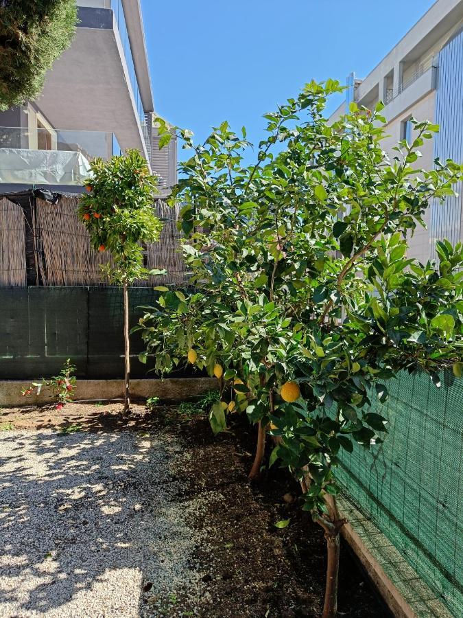 巴多利诺Casa Lucy别墅 外观 照片